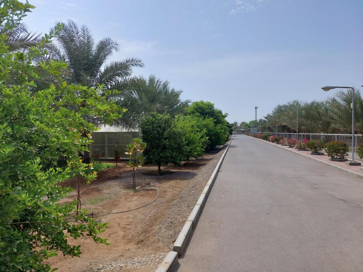 Asahalah Farm Pool Holiday home Seeb