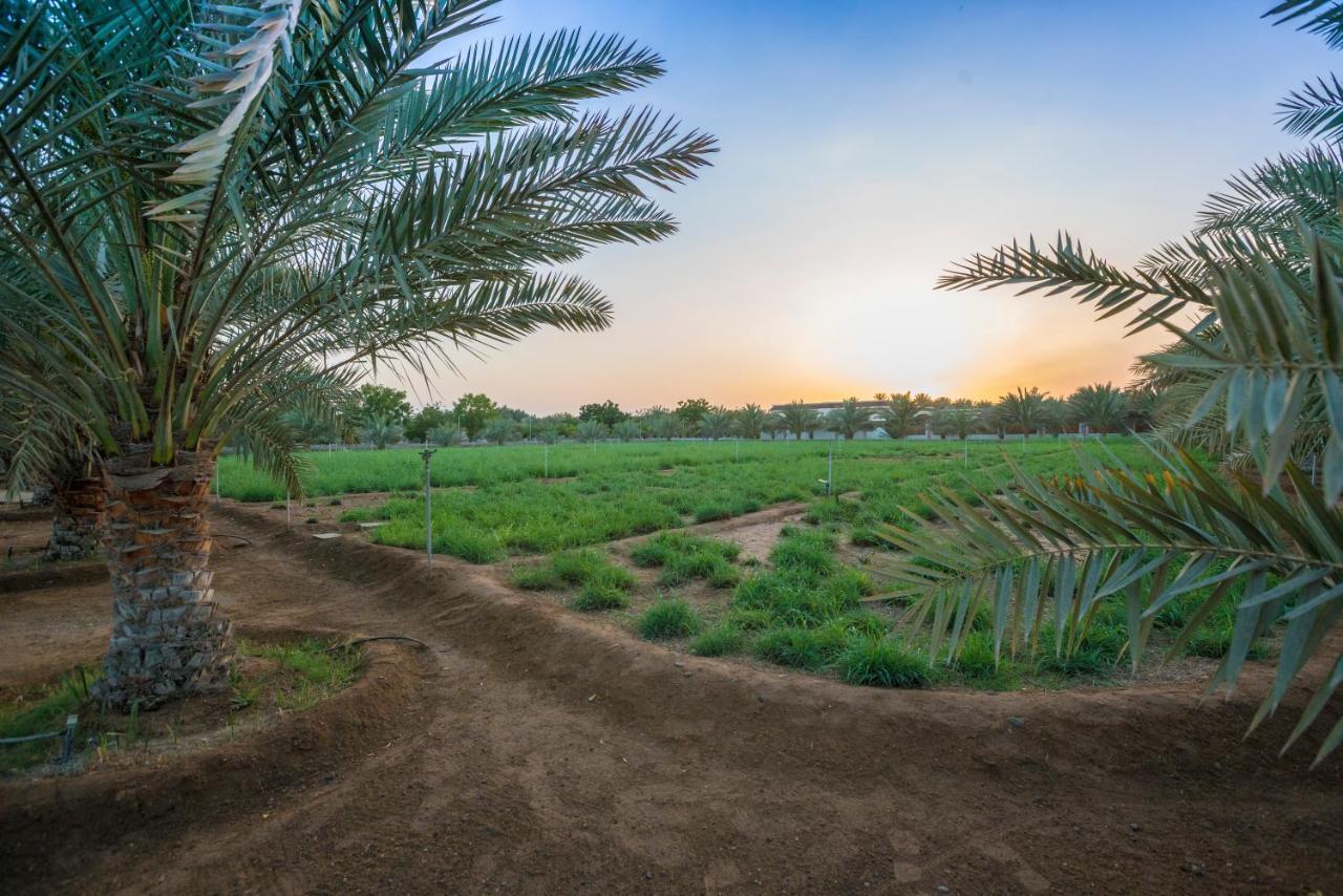 Asahalah Farm Pool * Seeb